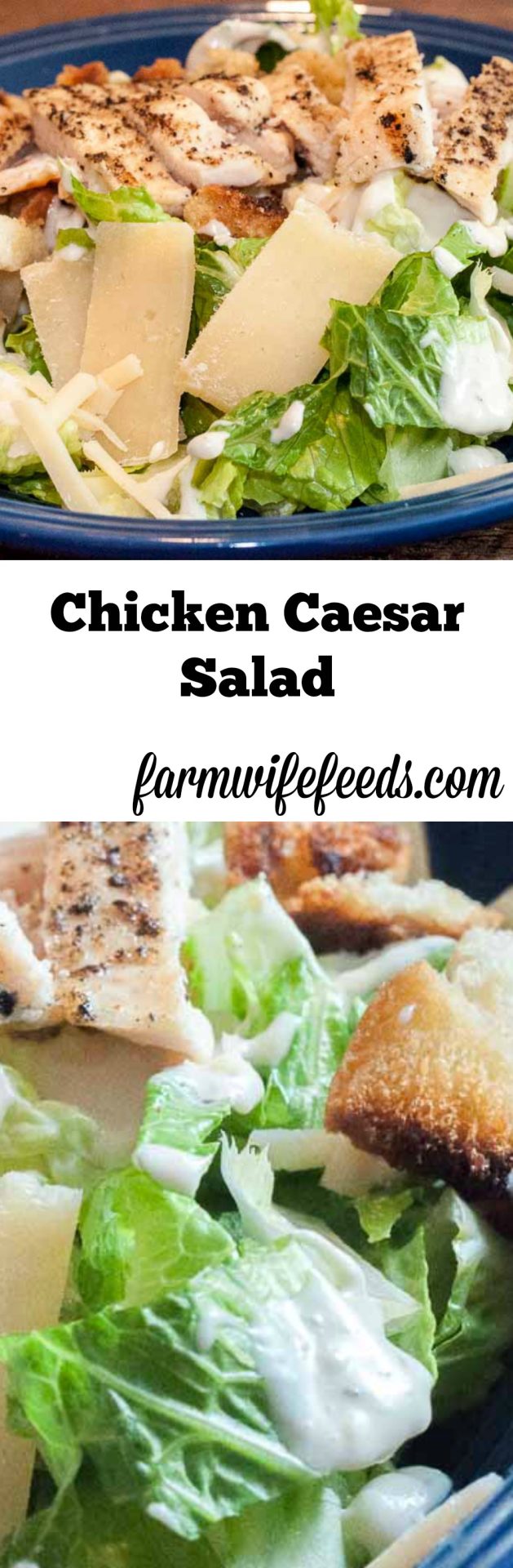 Grilled Chicken Caesar Salad with Homemade Croutons from Farmwife Feeds #chicken #salad #recipe #easy