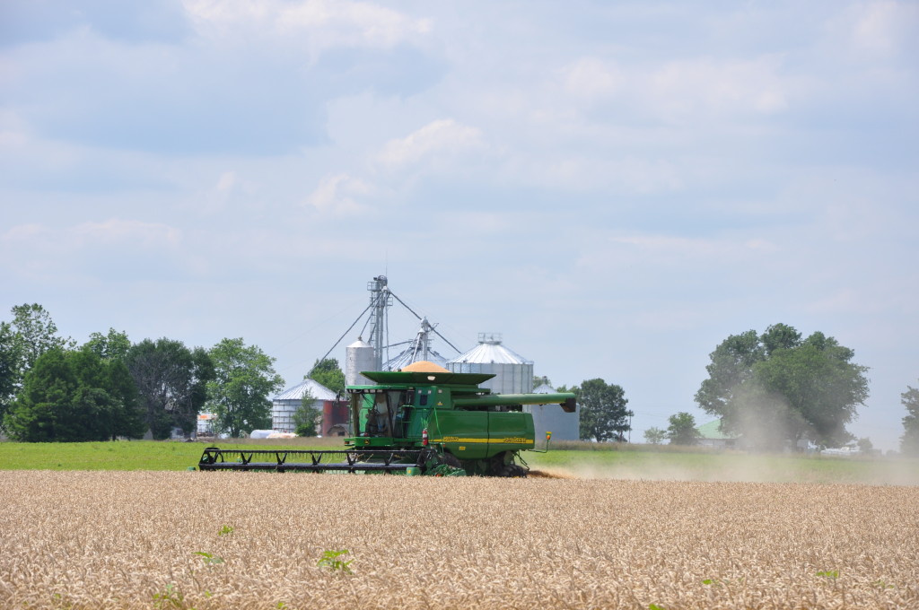 Food and Trust: A Farmwife's View