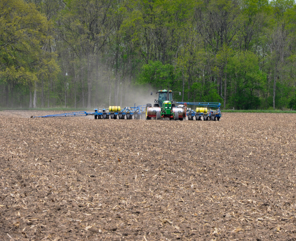 Food and Trust: A Farmwife's View