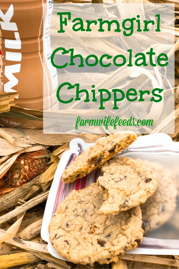Farmgirl Chocolate Chippers from Farmwife Feeds are a settle oatmeal version of chocolate chip cookies. #oatmeal #chocolatechip #cookie #recipe