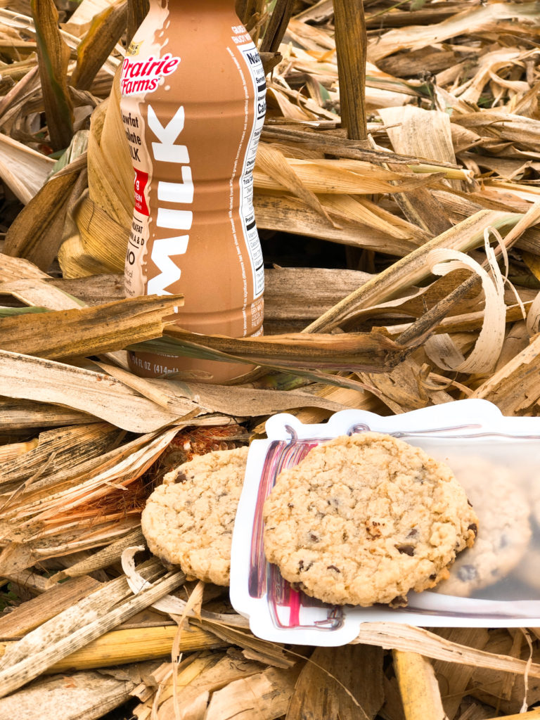 Farmgirl Chocolate Chippers from Farmwife Feeds are a settle oatmeal version of chocolate chip cookies. #oatmeal #chocolatechip #cookie #recipe