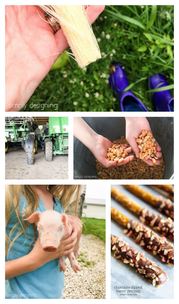 Freezing Corn Farm Visit