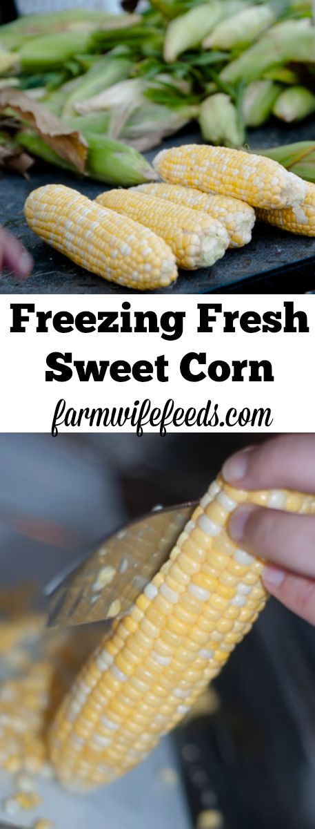 Freezing Fresh Sweet Corn is so worth it!