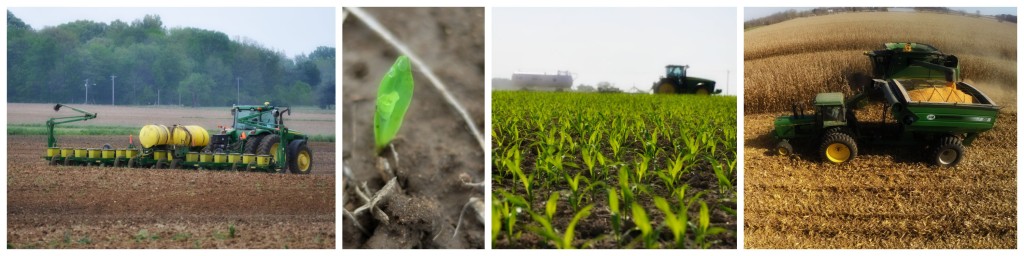 Want to know where to find 'local' food? Ask a farmer!