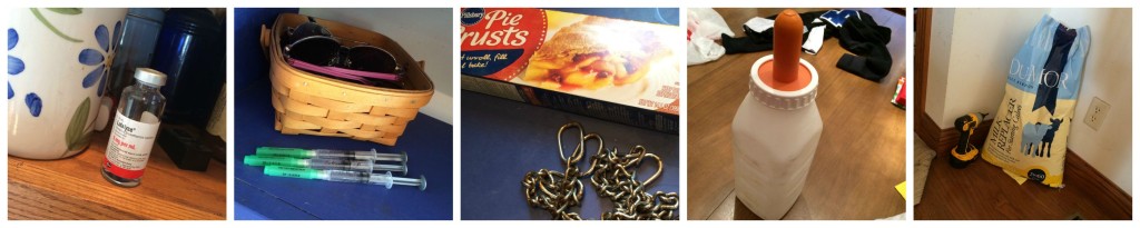 Sugar Cream Pie Kitchen Crisis Farm Pics