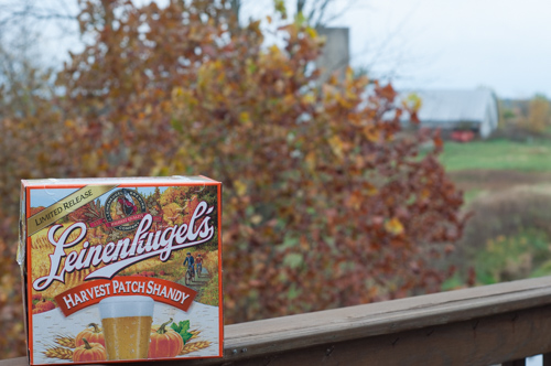Pumpkin Beer Bread, a great fall beer bread.