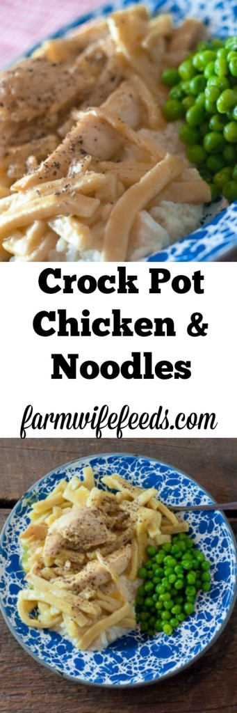 Low Carb Crock Pot Chicken Soup Crock Pot Mississippi Chicken After I shared the recipe for Crock Pot Mississippi Pot Roast earlier last year, I got a lot of folks asking about making it with chicken. This recipe really works well with just about any kind of meat you can think of. What I love most is it is a true crock pot recipe. And by that I mean you can literally fix it.