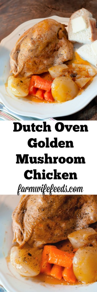 Dutch Oven Golden Mushroom Chicken, an easy delicious one pot meal.