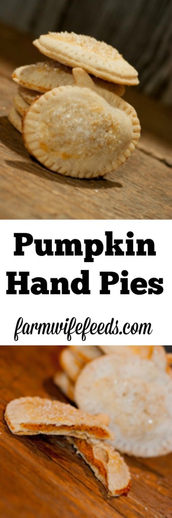 Pumpkin Hand Pies are so easy to make, cute and the perfect little treat to top off your Thanksgiving feast.