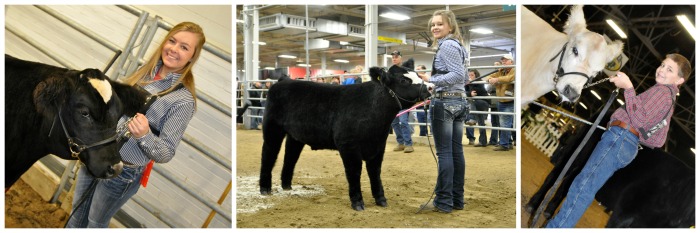 Beef Taco Soup Congress