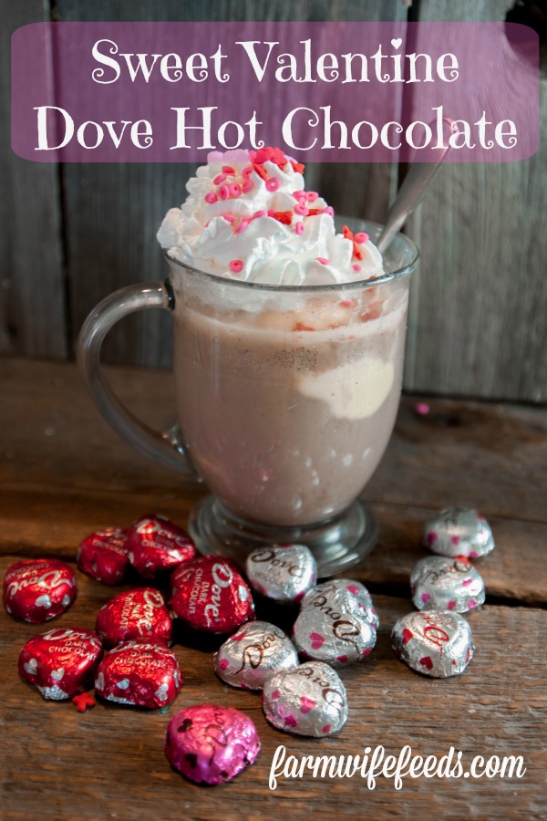 Sweet Valentine Dove Hot Chocolate from Farmwife Feeds is an easy wat to make your sweetheart feel special. #valentine #dove #chocolate