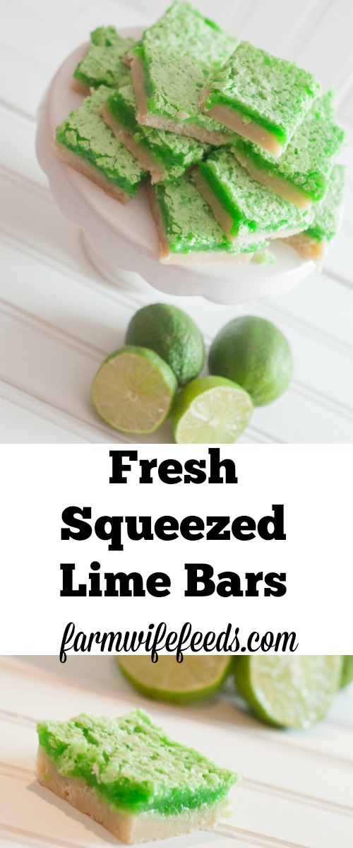 Fresh Squeezed Lime Bars, a great recipe for a sweet. tart and refreshing dessert or snack.