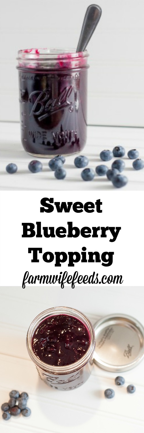 This Sweet Blueberry Topping recipe is so delicious, the perfect cross between a syrup and sauce-I love blueberries!