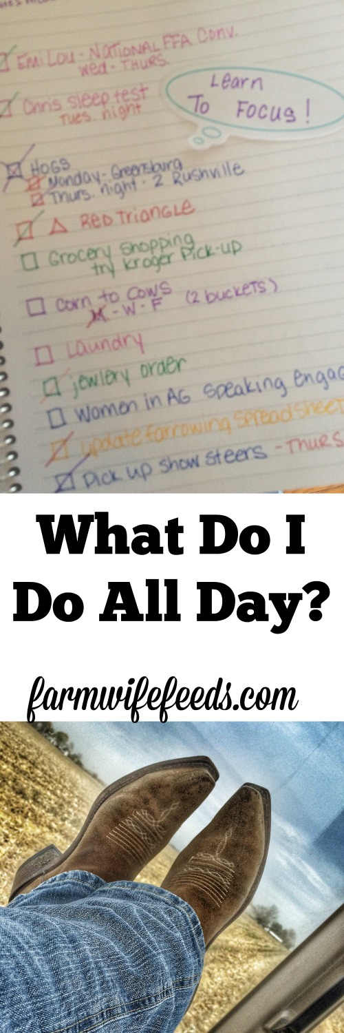 What does a farmwife and stay at home Mom do everyday? Sometimes I have no clue!