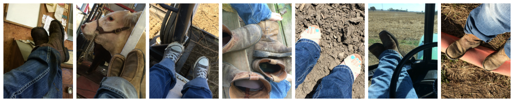 What Do I Do All Day