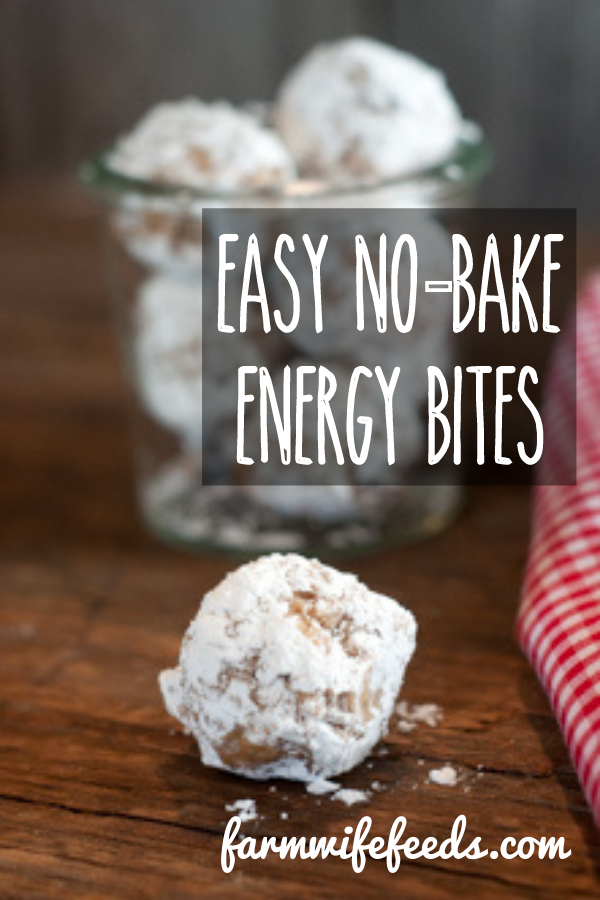 Easy No-Bake Energy Bites from Farmwife Feeds are a protein packed snack with just enough sweet to please everyone. #energy #protein #snack