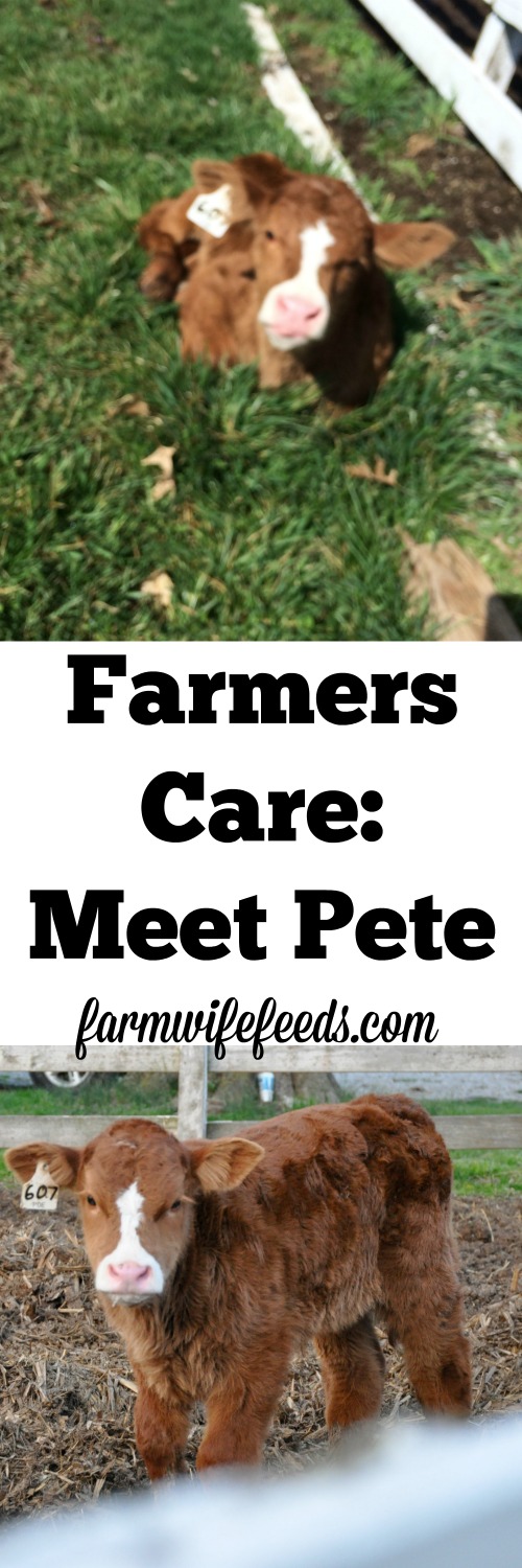 This is just one example of how farmers care for livestock day in and day out, there is so much bad press regarding modern production agriculture, sharing Pete's story is the positive!