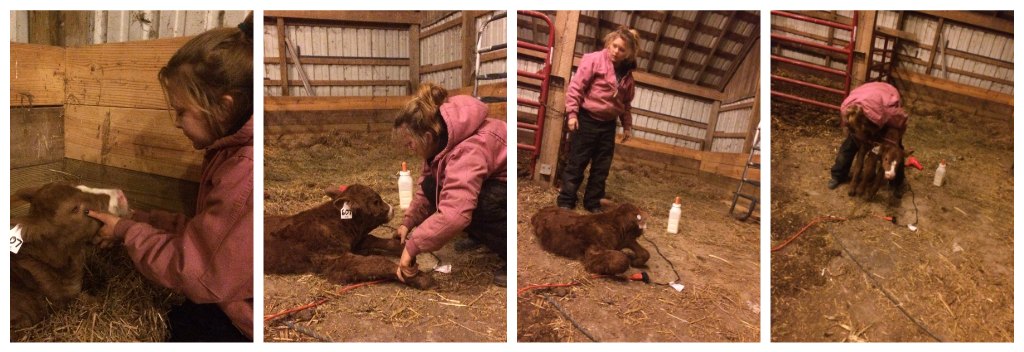 Meet Pete - A Children's Farm Book written by Farmwife Feeds, Jennifer Campbell available on Amazon! A great book to celebrate National Ag Day