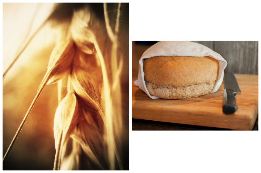 This homemade Honey Wheat Oat Bread recipe is super simple, super yummy and pleases everyone!