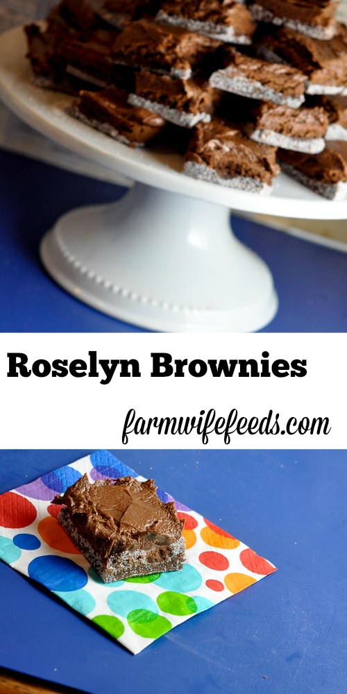 These bakery style brownies are the best homemade brownies you will ever make - Roselyn Bakery Brownies at your fingertips!