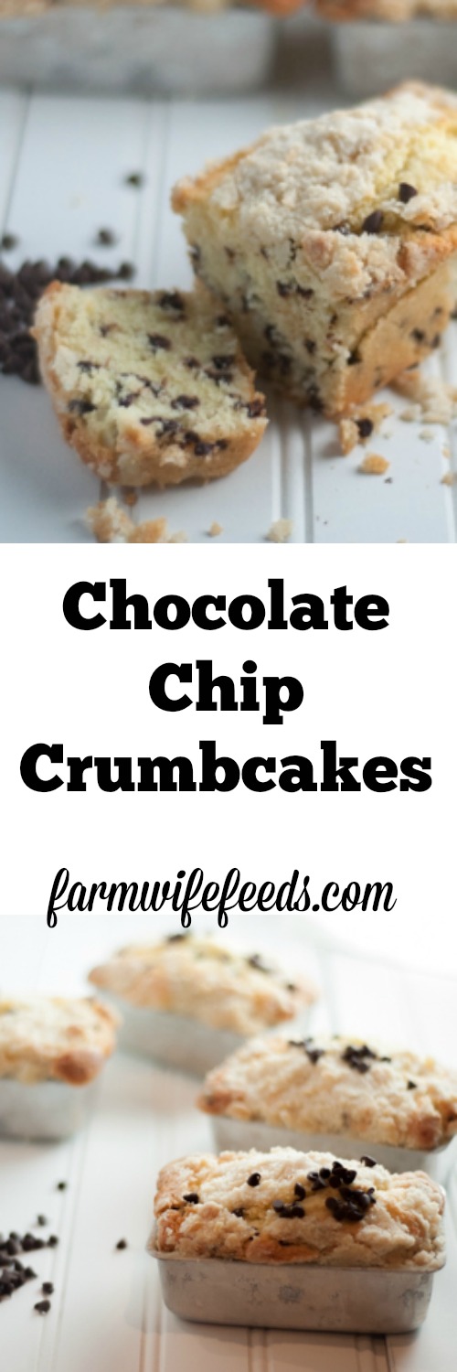 Individual Chocolate Chip Crumbcakes, just like they make at Disney World. Serve them at breakfast or for dessert, you will love this recipe.