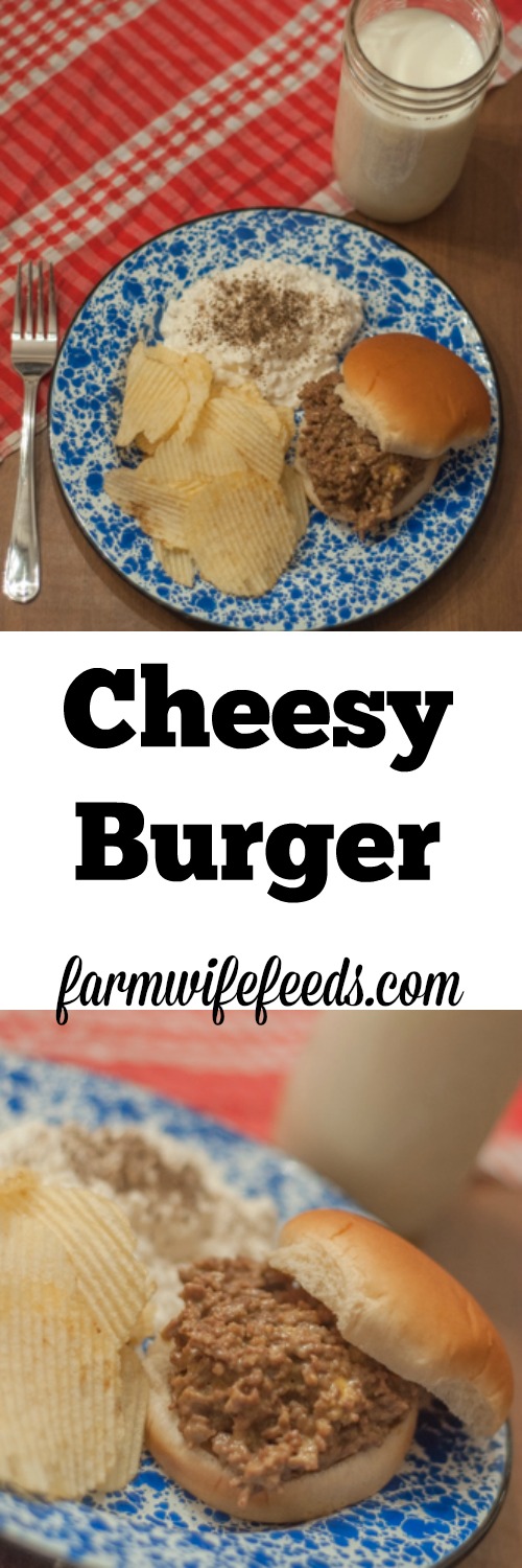 Cheesy Burger, Cheesie Burger or Loose Meat Cheese Buger! Call it what you want, I call it a super easy supper fix that pleases everyone!