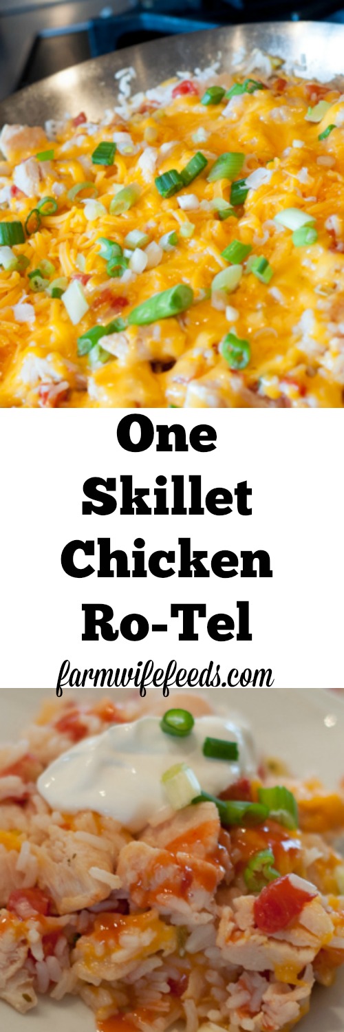 Chicken Rice And Rotel Recipes