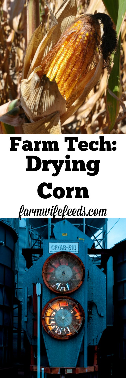 Farm Technology involves drying field corn for proper storage and use of the corn.