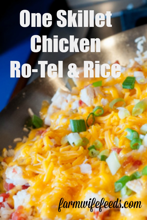 One Skillet Chicken Ro-Tel and Rice from Farmwife Feeds is a full meal in one pan or skillet your family will love. #onepan #oneskillet #chicken #rice #rotel #recipe