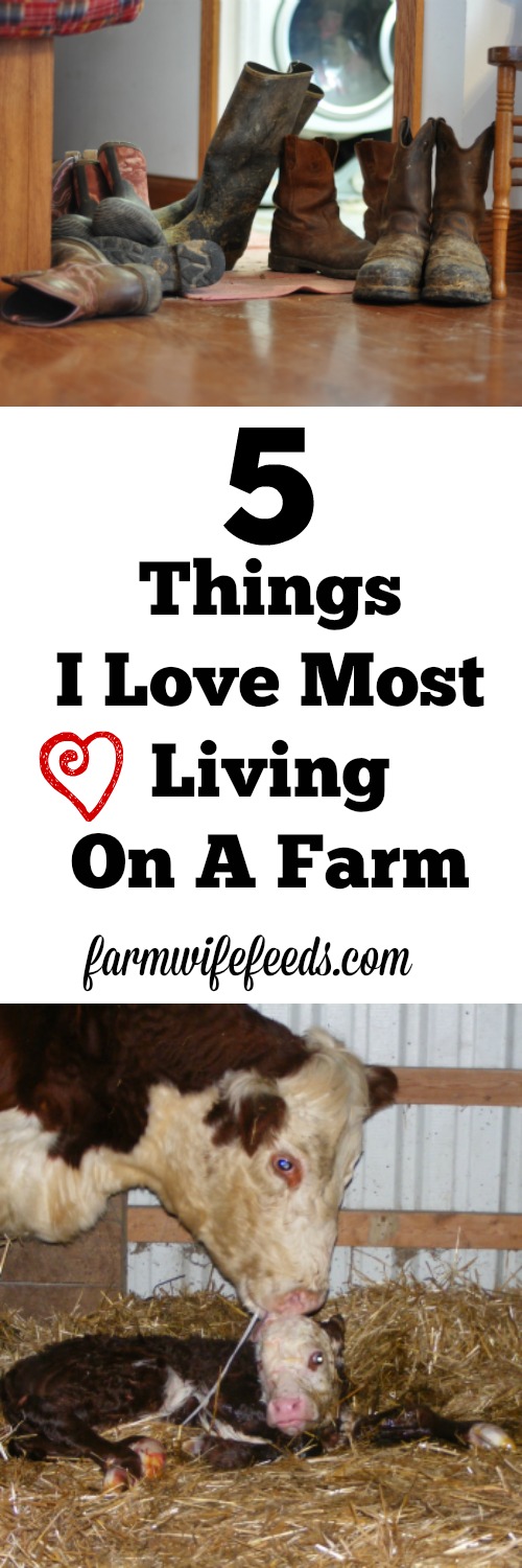 The 5 Things i Love Most Living on a Farm and Sweets for my Sweets!