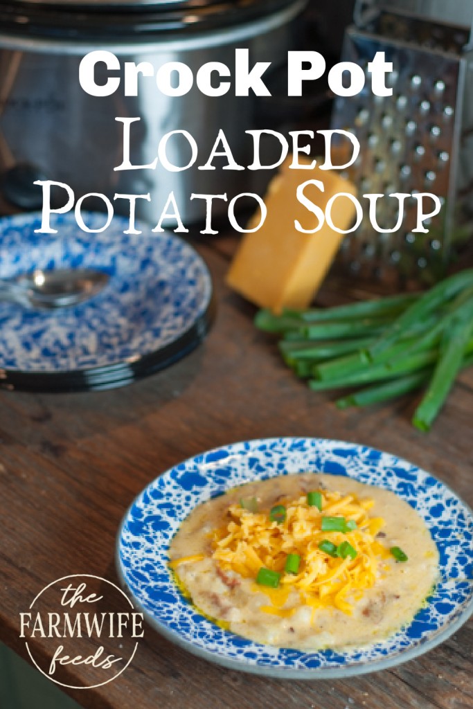 A bowl of creamy Crock Pot Loaded Potato Soup topped with shredded cheese and green onions, served on a rustic blue and white enamel plate. In the background, a crock pot, cheese grater, green onions, and a block of cheddar are visible, adding to the cozy kitchen atmosphere.