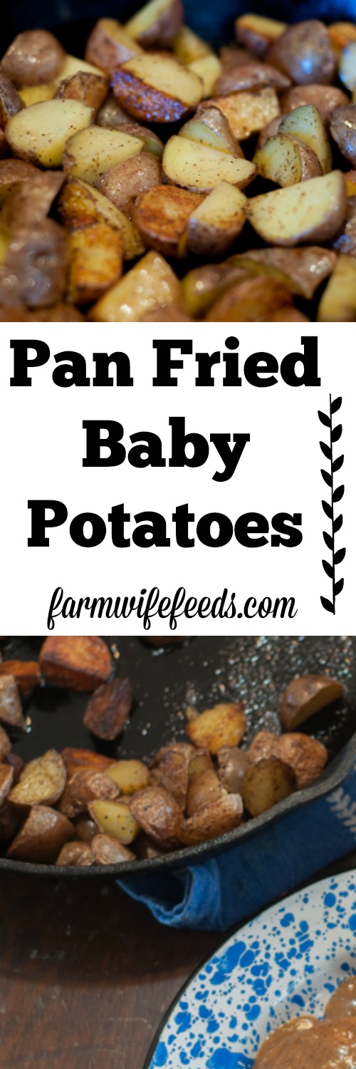 Pan Fried Baby Potatoes are a super easy to prepare side dish that compliments any meat and completes your meal!