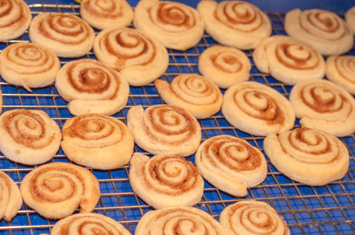 Crispy Cookie Coffeecakes, cinnamon roll iced cookies from The Farmwife Feeds #cookies #recipes #sweets 