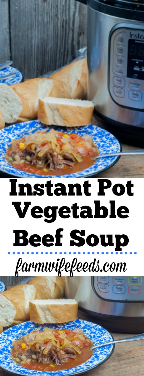 Instant Pot Beef and Barley Vegetable Soup from Farmwife Feeds #recipe #soup #beef #barley #vegetablesoup