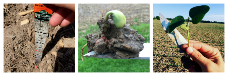 5 Reasons for Farm Planting Technology by Farmwife Feeds