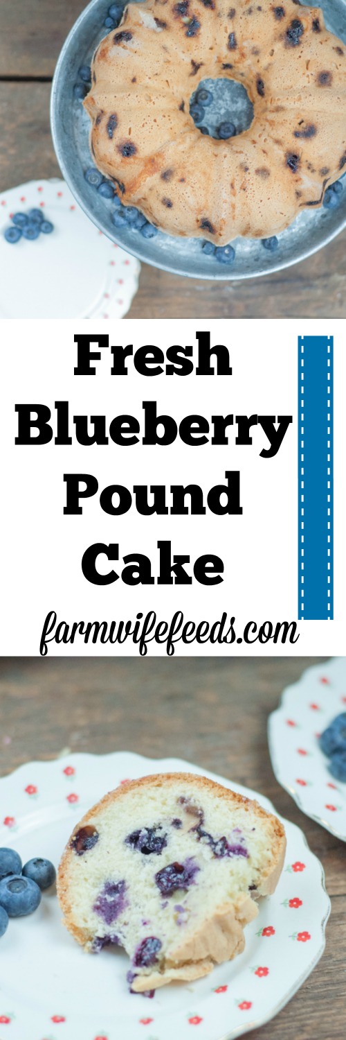 Fresh Blueberry Pound Cake simple recipe that will impress guests and family! Butter, Sugar, fresh fruit in cake form from Farmwife Feeds #recipe #blueberry #blueberries #cake #poundcake