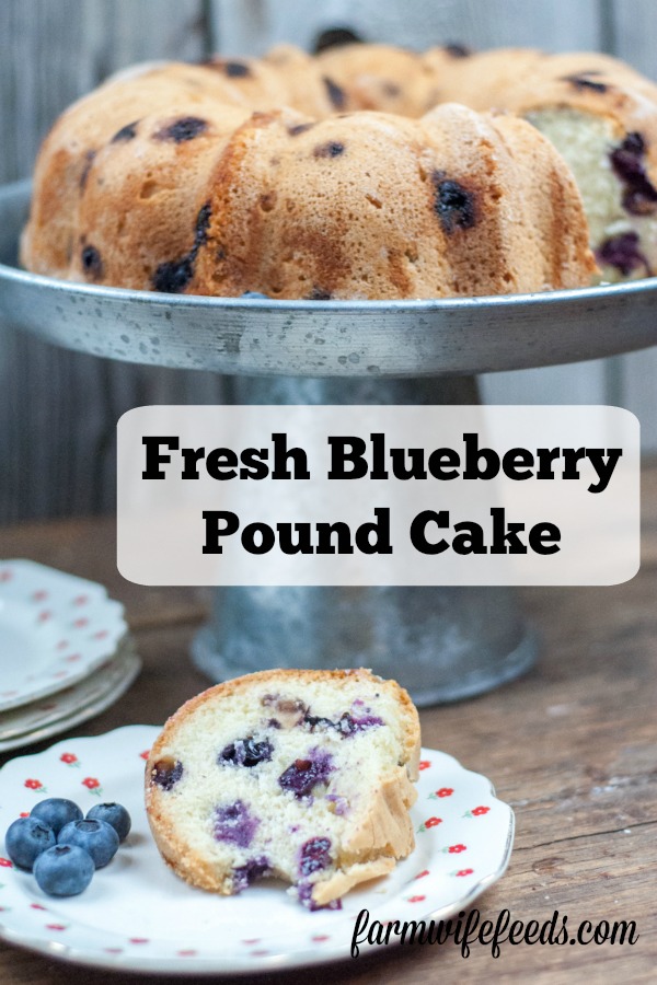 Fresh Blueberry Pound Cake simple recipe that will impress guests and family! Butter, Sugar, fresh fruit in cake form from Farmwife Feeds #recipe #blueberry #blueberries #cake #poundcake