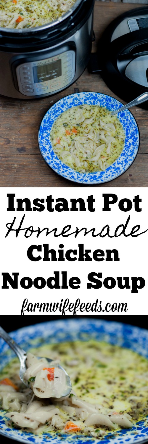 Instant Pot Homemade Chicken Noodle Soup easy deep rich flavor ready in less than an hour using frozen chicken breasts from Farmwife Feeds #chicken #recipe #instantpot #soup