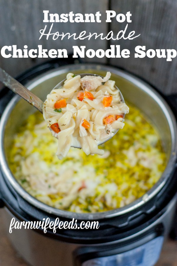 Instant Pot Homemade Chicken Noodle Soup from Farmwife Feeds is a one pot wonder that will warm you from the inside out! #chicken #soup #instantpot #homemade