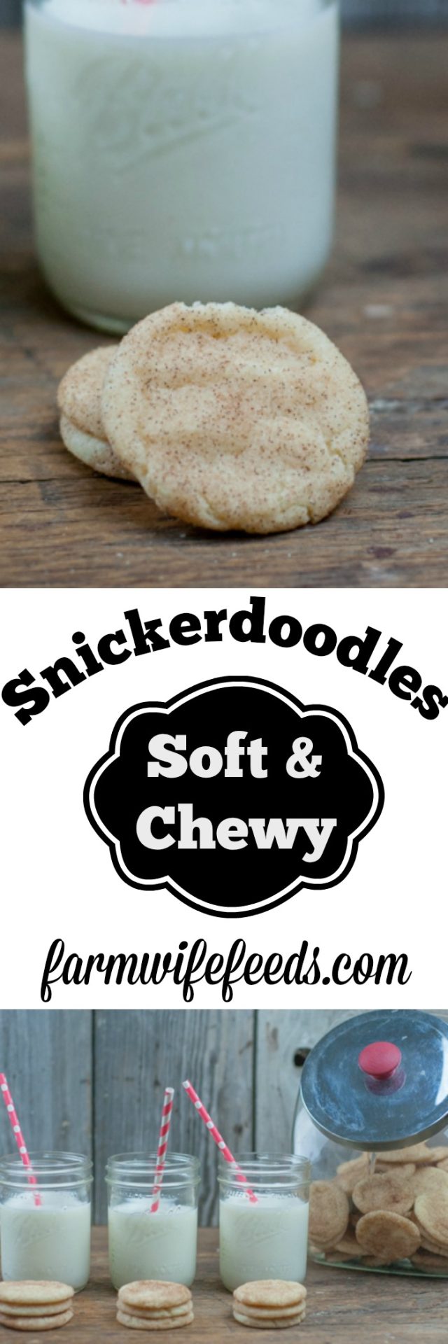 Soft and Chewy Snickerdoodles Cookies from Farmwife Feeds #recipe #cookies #snickerdoodle