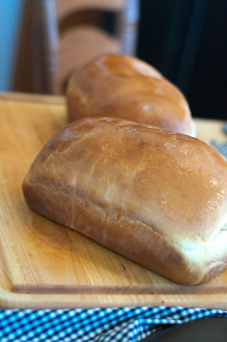 Homemade Cinnamon Swirl Bread by Farmwife Feeds, tried and true sweet yeast bread recipe #reciepe #farmwifefeeds #bread #homemade