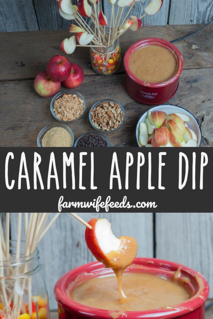 Caramel Apple Dip from Farmwife Feeds is a crock pot easy way for an apple dipping bar for fall fun. #apples #caramel #carameldip #crockpot