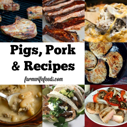 Pigs, Pork and Recipes by Farmwife Feeds #recipe #pork #farmhouse