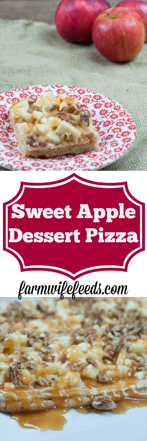 Sweet Apple Dessert Pizza is a great treat for a crowd or after school snack from Farmwife Feeds #apples #recipes #pizza