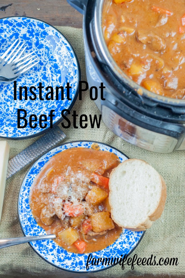 Instant Pot Beef Stew from Farmwife Feeds is an easy full hearty meal full of beef and vegetables for a one bowl meal. #beef #instantpot #vegetables #recipe 