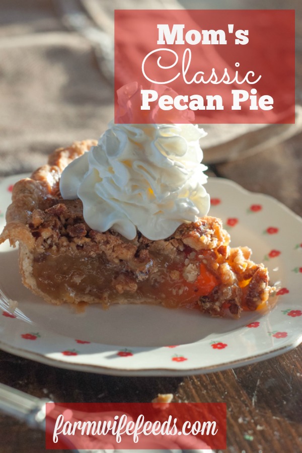 Mom's Classic Pecan Pe is a family favorite from Farmwife Feeds #pie #recipe #pecans