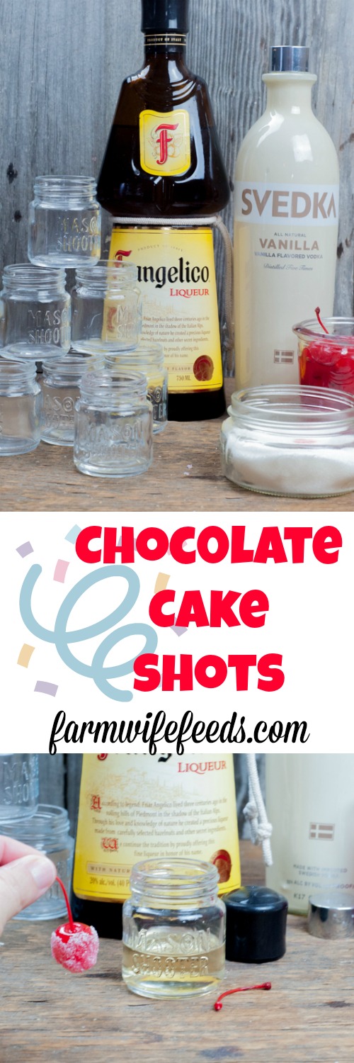 Chocolate Cakes Shots from Farmwife Feeds is a sweet cake party in your mouth! #shots #chocolatecake #birthday #fun