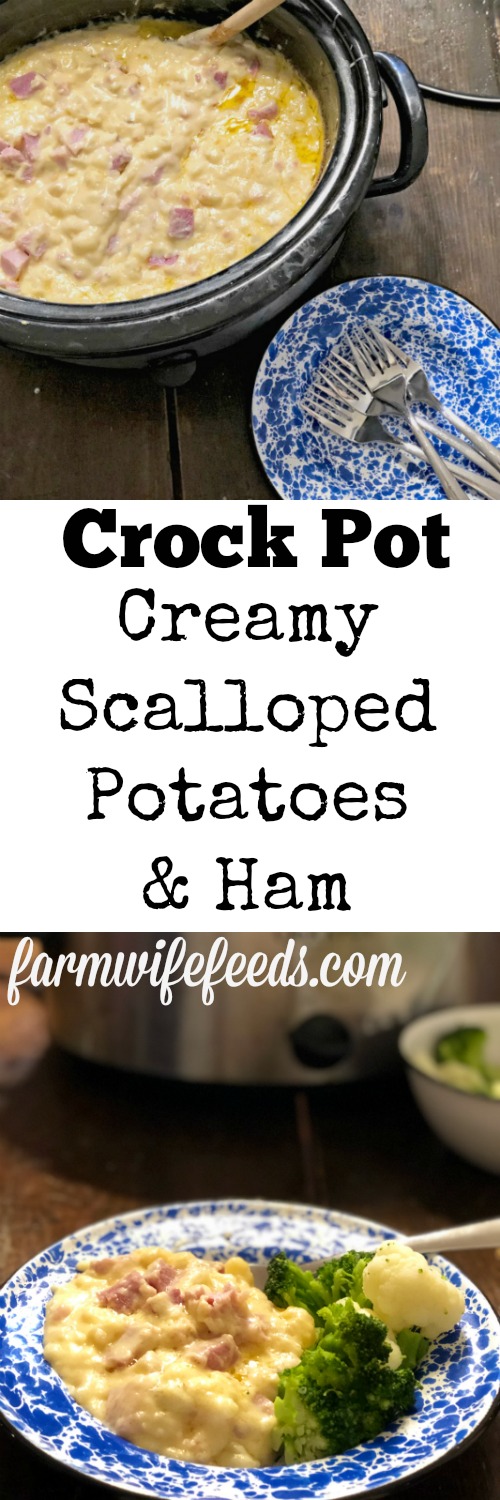 Crock Pot Creamy Scalloped Potatoes and Ham from Farmwife Feeds is a super easy meal that can use leftover ham or fresh diced ham. #crockpot #ham #recipe