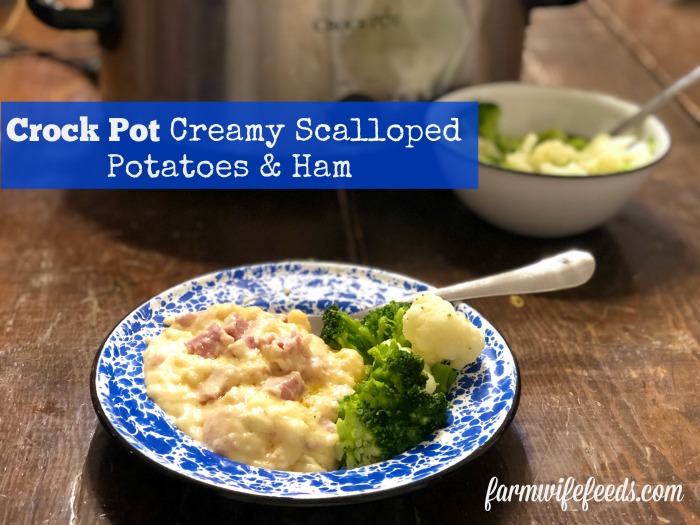 Crock Pot Creamy Scalloped Potatoes and Ham from Farmwife Feeds is a super easy meal that can use leftover ham or fresh diced ham. #crockpot #ham #recipe