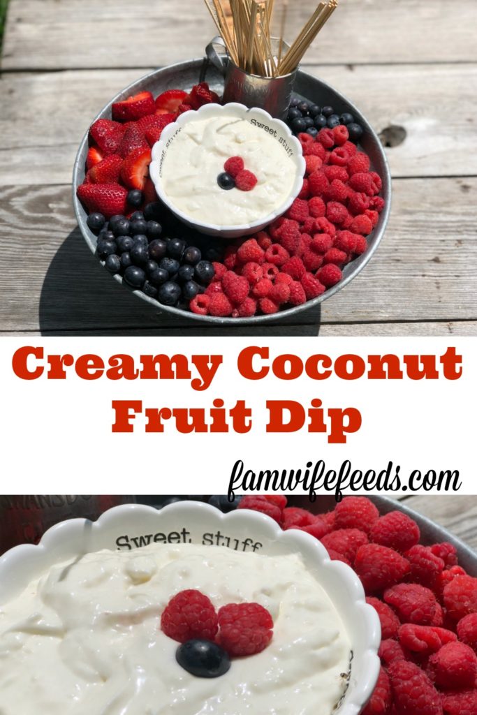 Creamy Coconut Fruit Dip from Farmwife Feeds is a great make ahead dip for get togethers, pitch-ins or just to have on hand for snacking. #fruit #recipe #dip #coconut